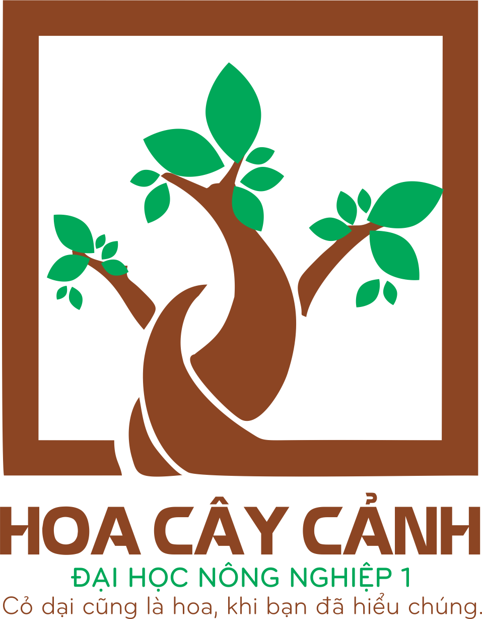 Hoa Cây Cảnh 365